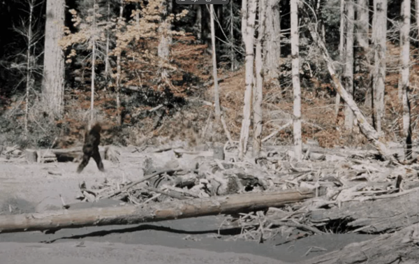 Case File — Patterson–Gimlin Bigfoot Film (1967)