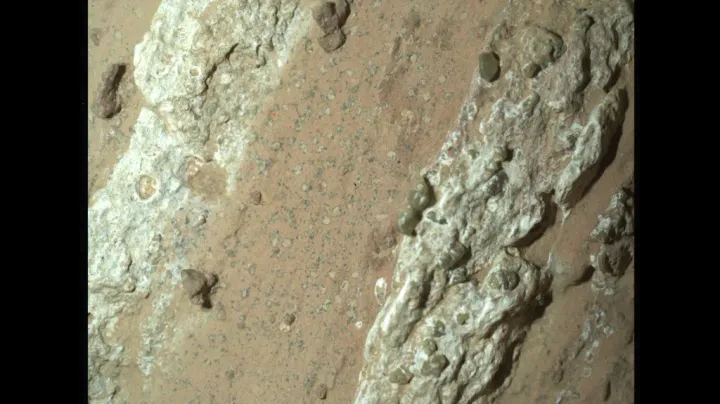 Signal Check: Mars