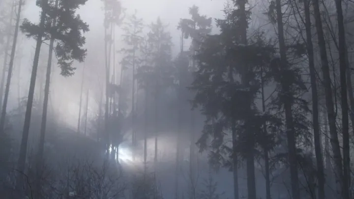 Case File — Rendlesham Forest Incident (1980, Suffolk, UK)